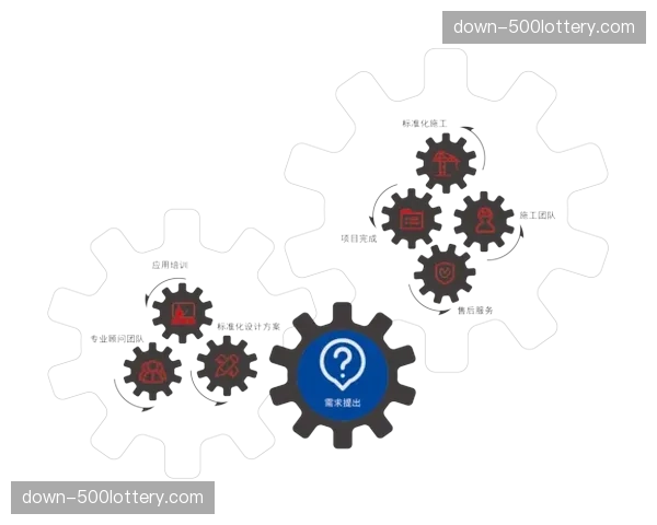标准化服务产品与定制化解决方案市场并行发展
